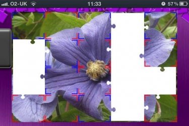 $jp_clematis.jpg