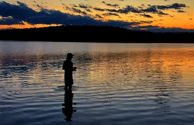 2024-08-22-AP-Opeongo-Annie's-Bay-fishing-3.webp