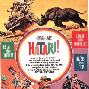 7b6d978e92db6e9db3a95fb1223b201d--hatari-movie-elephant-film.jpg