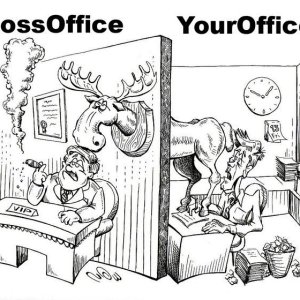 boss_office_vs_your_office__saad_murtadha.jpeg