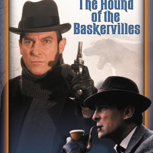 Sherlock Holmes_ The Hound of the Baskervilles.jpg