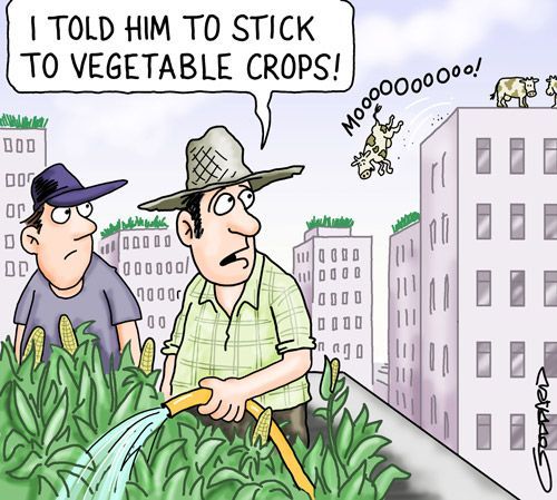 6879c9dbbd467a65f22fe5accb988bf8--urban-farming-cartoons.jpg