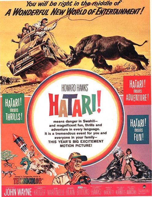 7b6d978e92db6e9db3a95fb1223b201d--hatari-movie-elephant-film.jpg