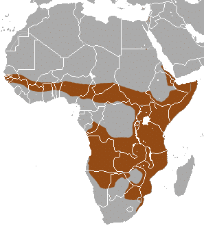 Banded_Mongoose_area.png