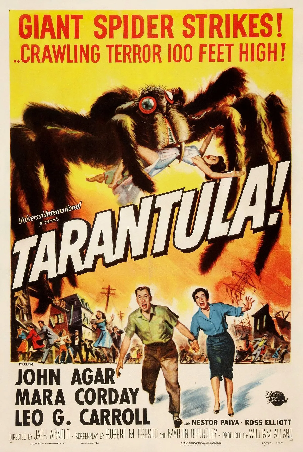 Tarantula.jpg